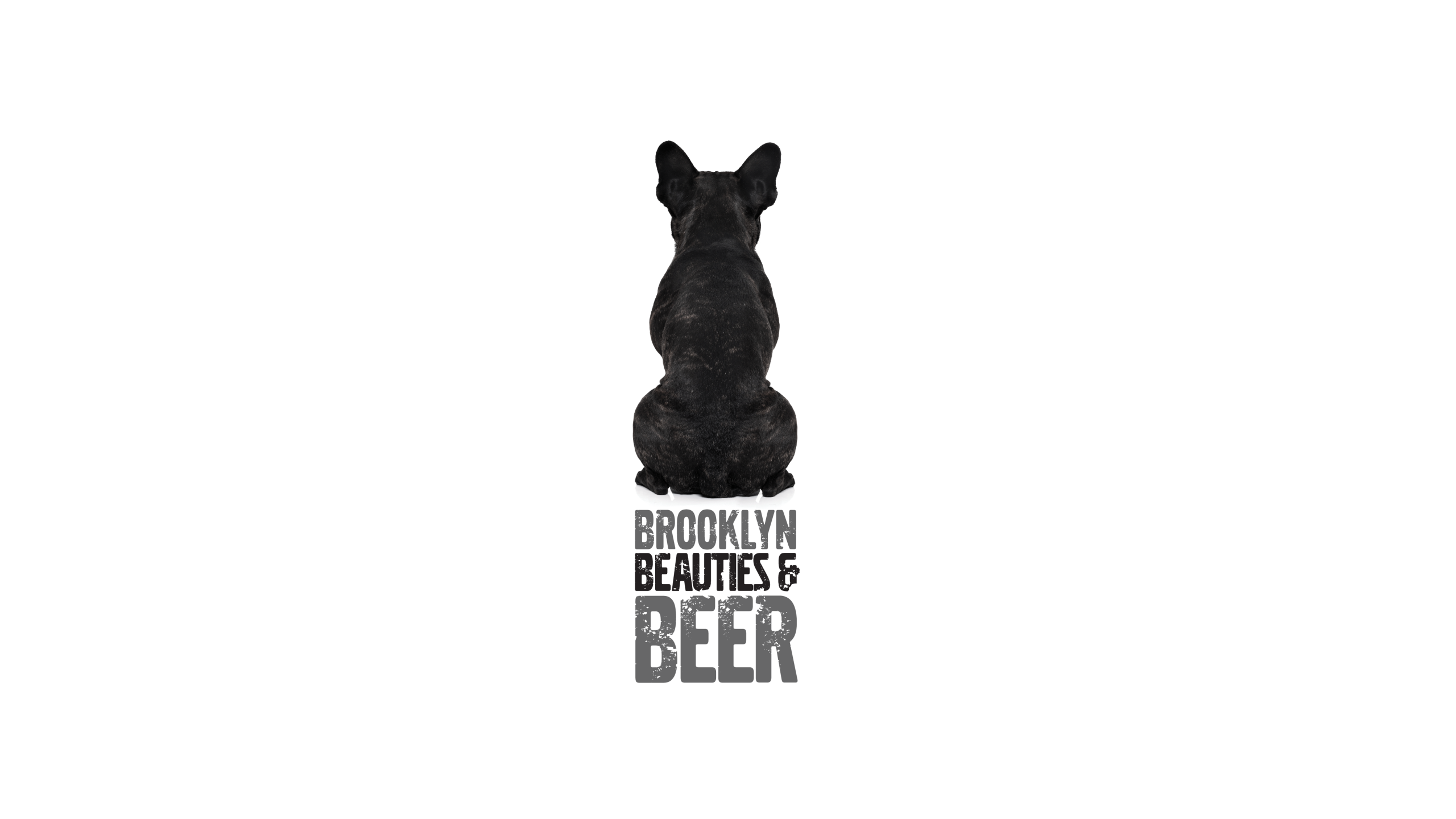*brookly-beauties-&-berr-logo_1200x675