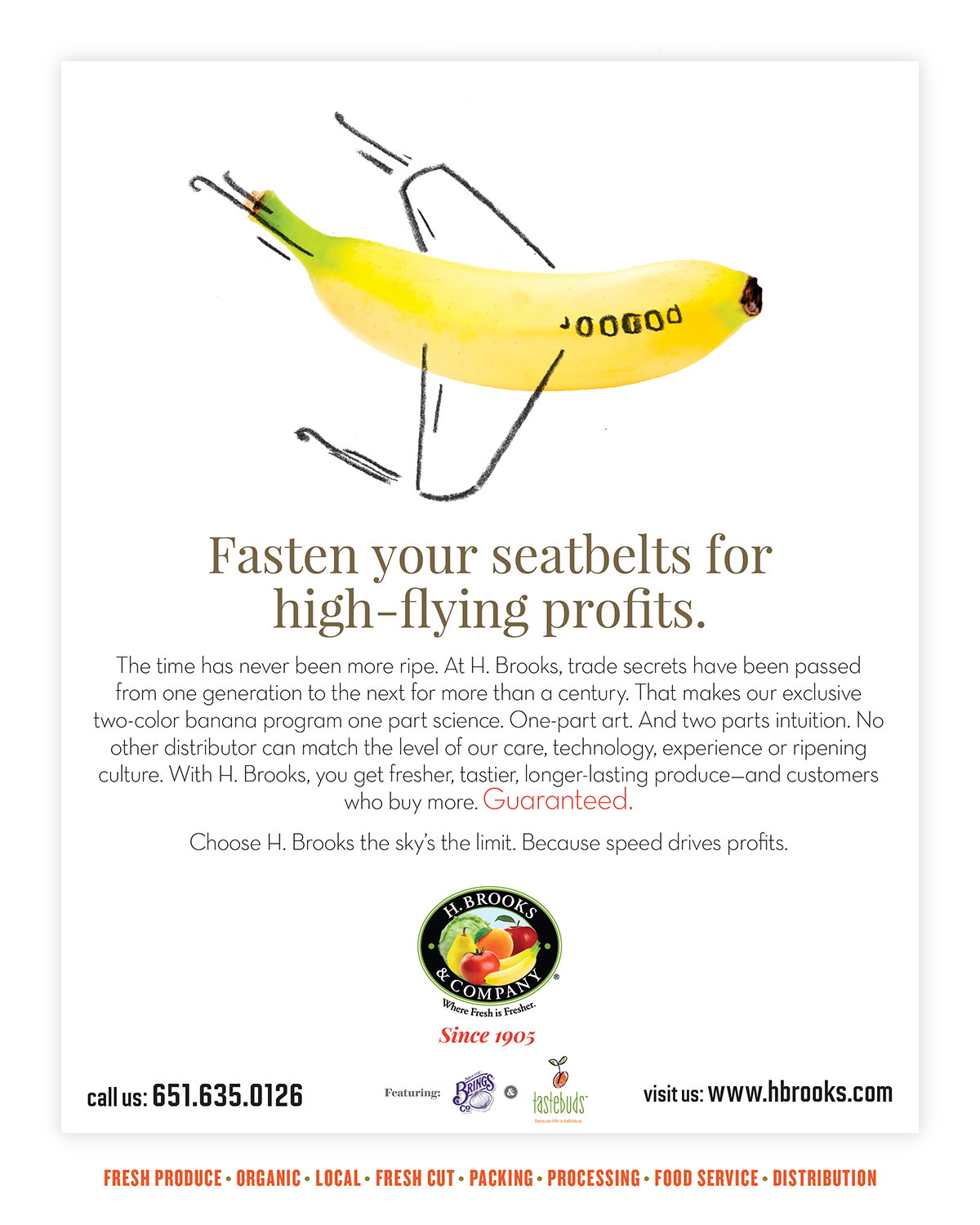 H. Brooks & Company ad campaign hero image showing frsh produce paired with a whimsical line drawing